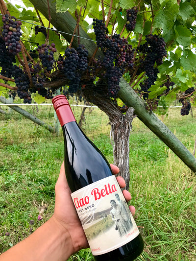 Pinot Nero Pinot Nero